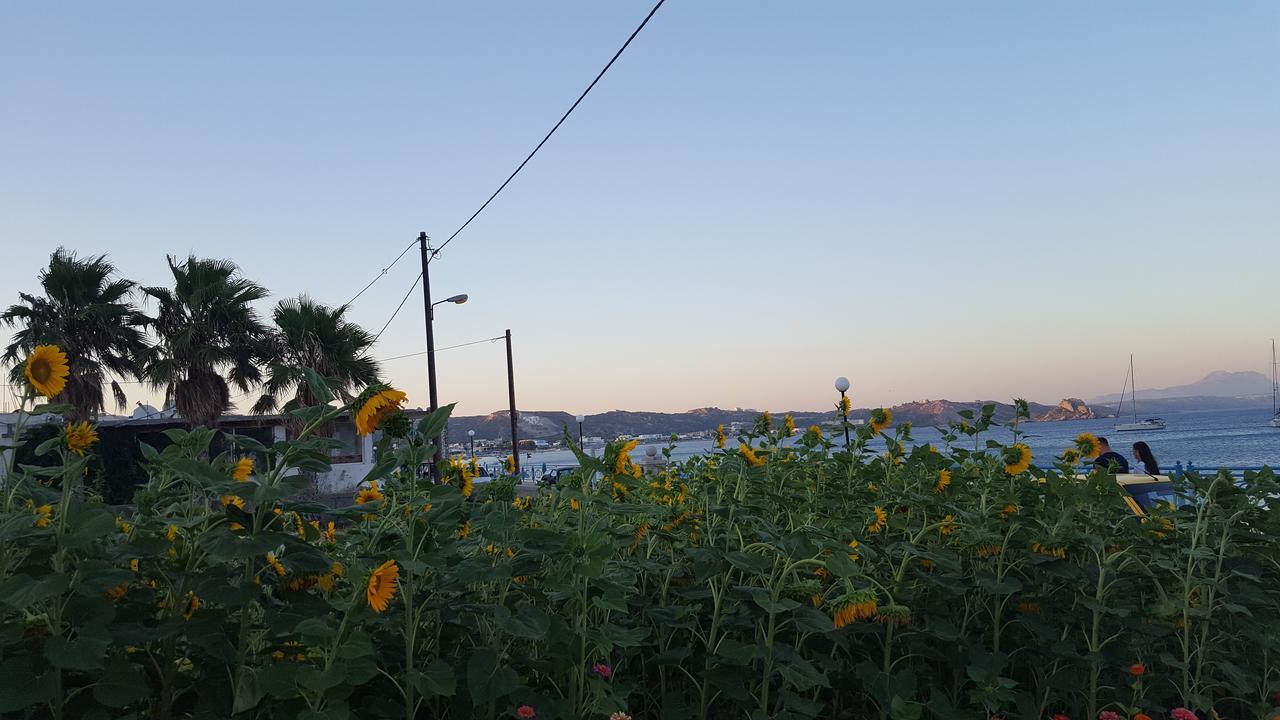 Eleni Studios Kos-stad Buitenkant foto